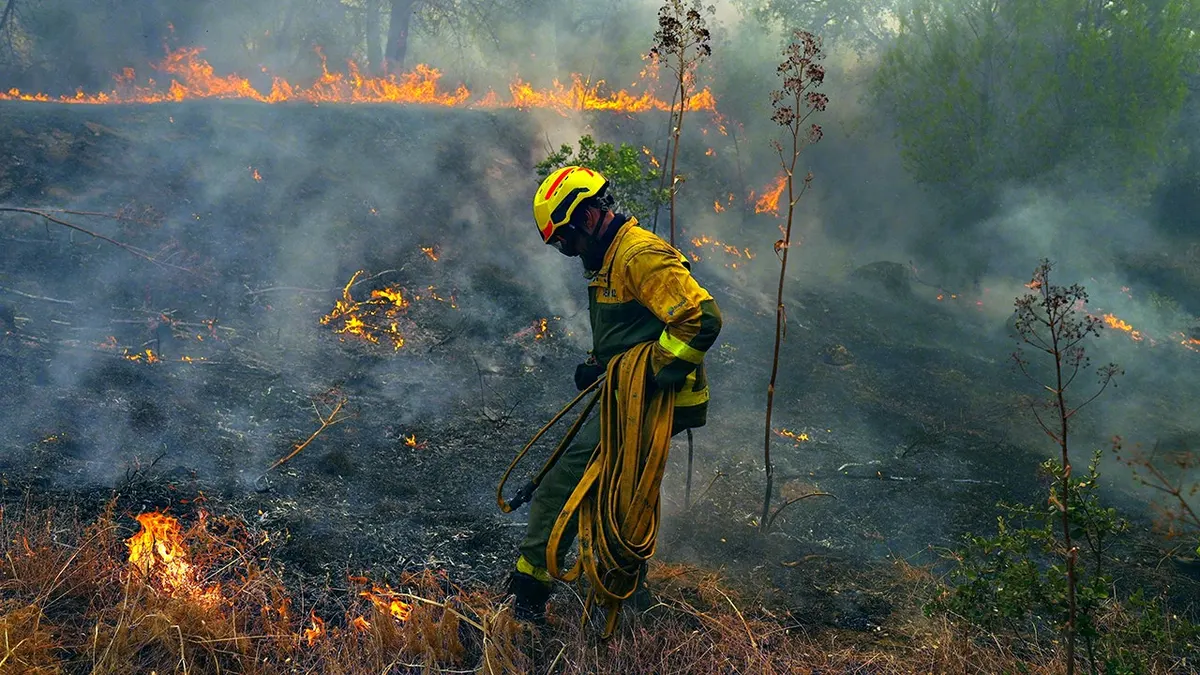 Vatrogasac nosi crijevo dok se bori s požarom u Španjolskoj.