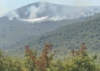Air Tractor gasi požar iznad Popova polja
