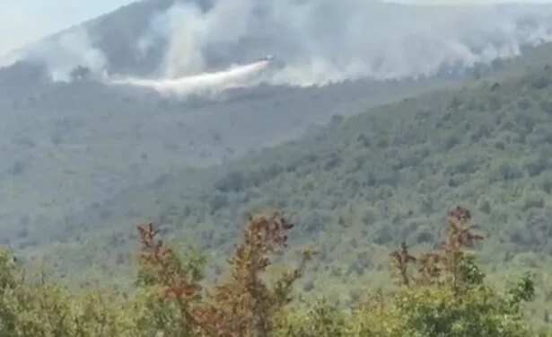 Air Tractor gasi požar iznad Popova polja