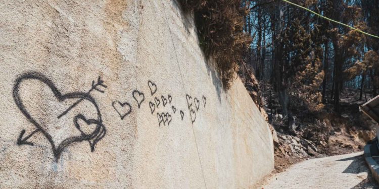 Bačvice pokazale veliko srce: Pomoć za stradale u požaru na omiškom području stigla u prave ruke