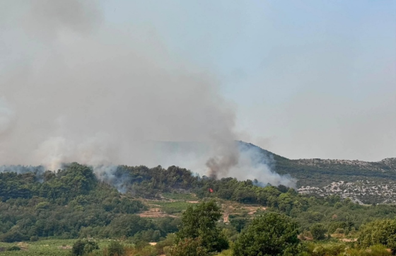 Četiri kanadera u akciji na Pelješcu: Požar djelomično pod kontrolom, ali borba se nastavlja