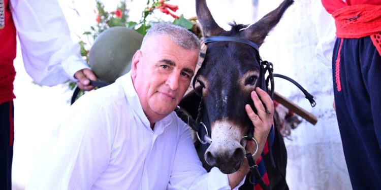 FOTO Bulj se poželio slikati s prekrasnim magarcem, evo kako je ispalo