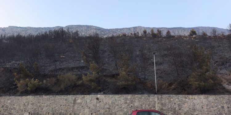 FOTO Prizori s opožarenog područja kod Omiša: Iza vatrene stihije ostala zgarišta
