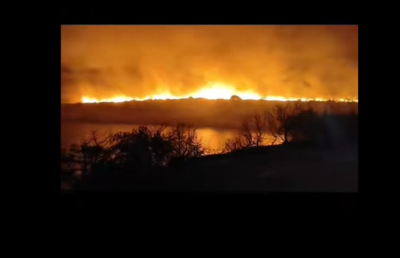 Gori i Dugi otok: Stigli kanaderi, vatrogasci brane kuće