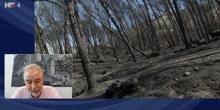 Gradonačelnik Omiša: “Ovo je terorizam najgore vrste, teško je vjerovati da je slučajno”