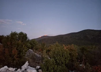 Grom izazvao požar iznad Popova polja