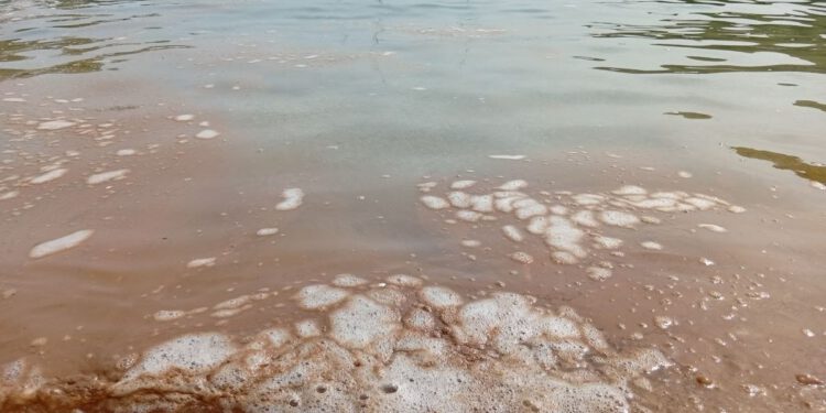 INCIDENT NA ŠOLTI Jutarnje fekalno onečišćenje preplavilo uvalu Gornja Krušica, mještani upozoravaju na problem sidrenja plovila