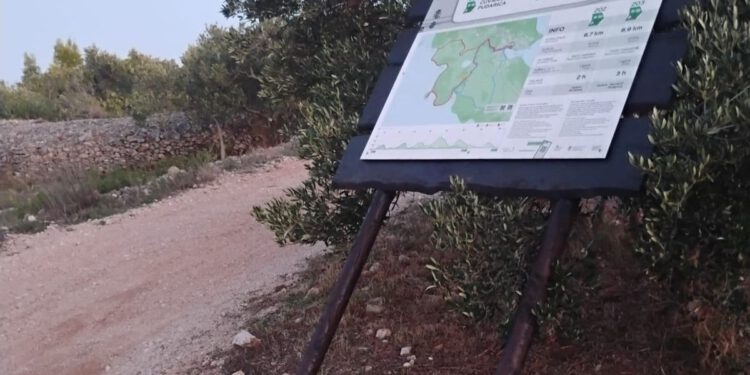 Izlijevaju nam fekalije u more, ne možemo naći plažu bez straha da ne dobijemo kožni osip, a i razbijaju sve pred sobom