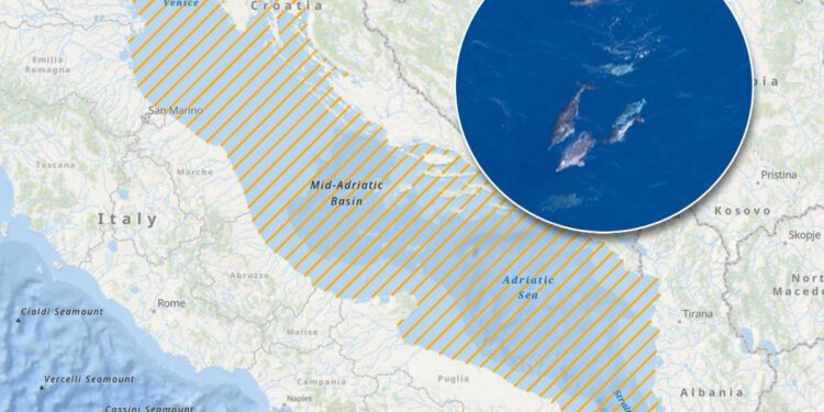 JADRAN POD POVEĆALOM Počelo veliko brojanje kitova i dupina iz zraka, evo što se događa na našem moru