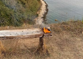 KORAK DO KATASTROFE NA SUSKU: Zbog nepromišljeno odbačenog opuška zamalo buknuo požar na otoku: “Ne budite ovakvi idioti!”