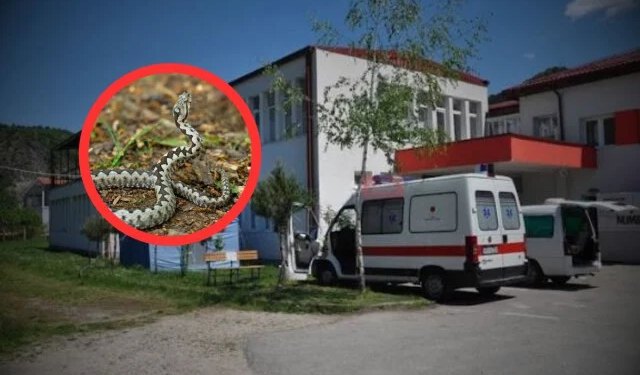 Mladića ugrizao poskok i bez seruma ga poslali motorom za Mostar. Život mu spašen u SKB