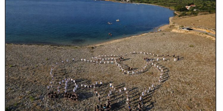Na Pagu usred vrućine „oživjela“ paška ovca Biličinka