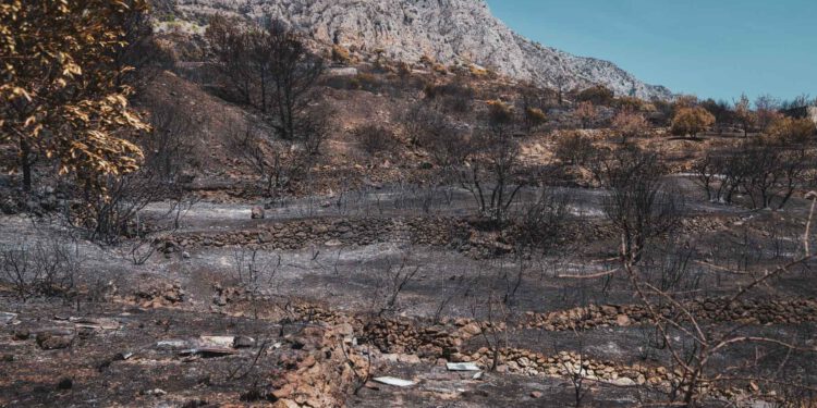 Nakon vatrene katastrofe stiže velika pomoć Omišu: Osigurano 50.000 eura, evo gdje će novac završiti