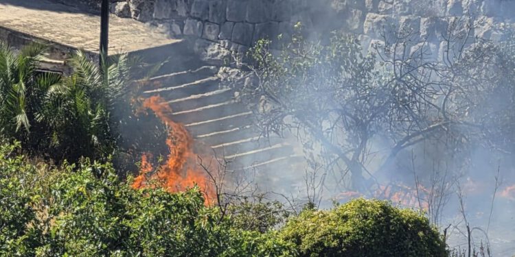 Planulo na Mertojaku, na teren izašla tri vatrogasna vozila
