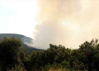 Planuo veliki požar u Kuni Pelješkoj