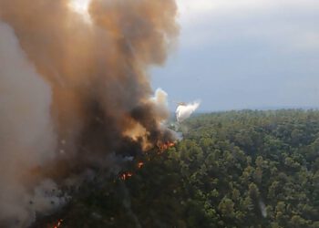 Pogledajte kako hrvatski piloti gase strahovite požare u Francuskoj