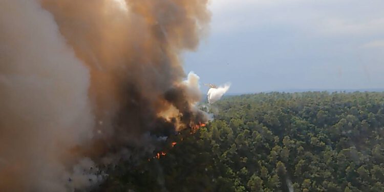 Pogledajte kako hrvatski piloti gase strahovite požare u Francuskoj
