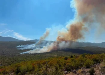 Požar iz Gruda širi se prema Hrvatskoj, stigla pomoć iz Dalmacije