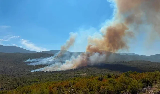 Požar iz Gruda širi se prema Hrvatskoj, stigla pomoć iz Dalmacije