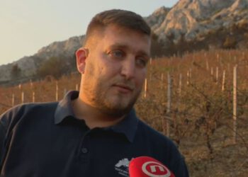Požar mu u sat vremena uništio 25 godina rada: “Do prve nove berbe trebat će nam sedam godina”