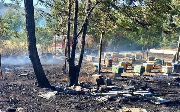 Požar uništio pčelinjak kod Ljubuškog