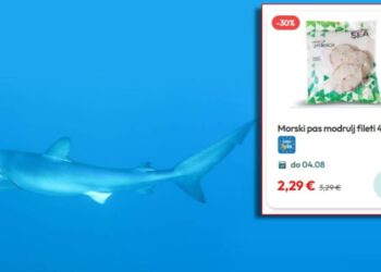 Poznati trgovački lanac u Hrvatskoj prodaje strogo zaštićenog morskog psa: "Kilogram pet eura na popustu!"