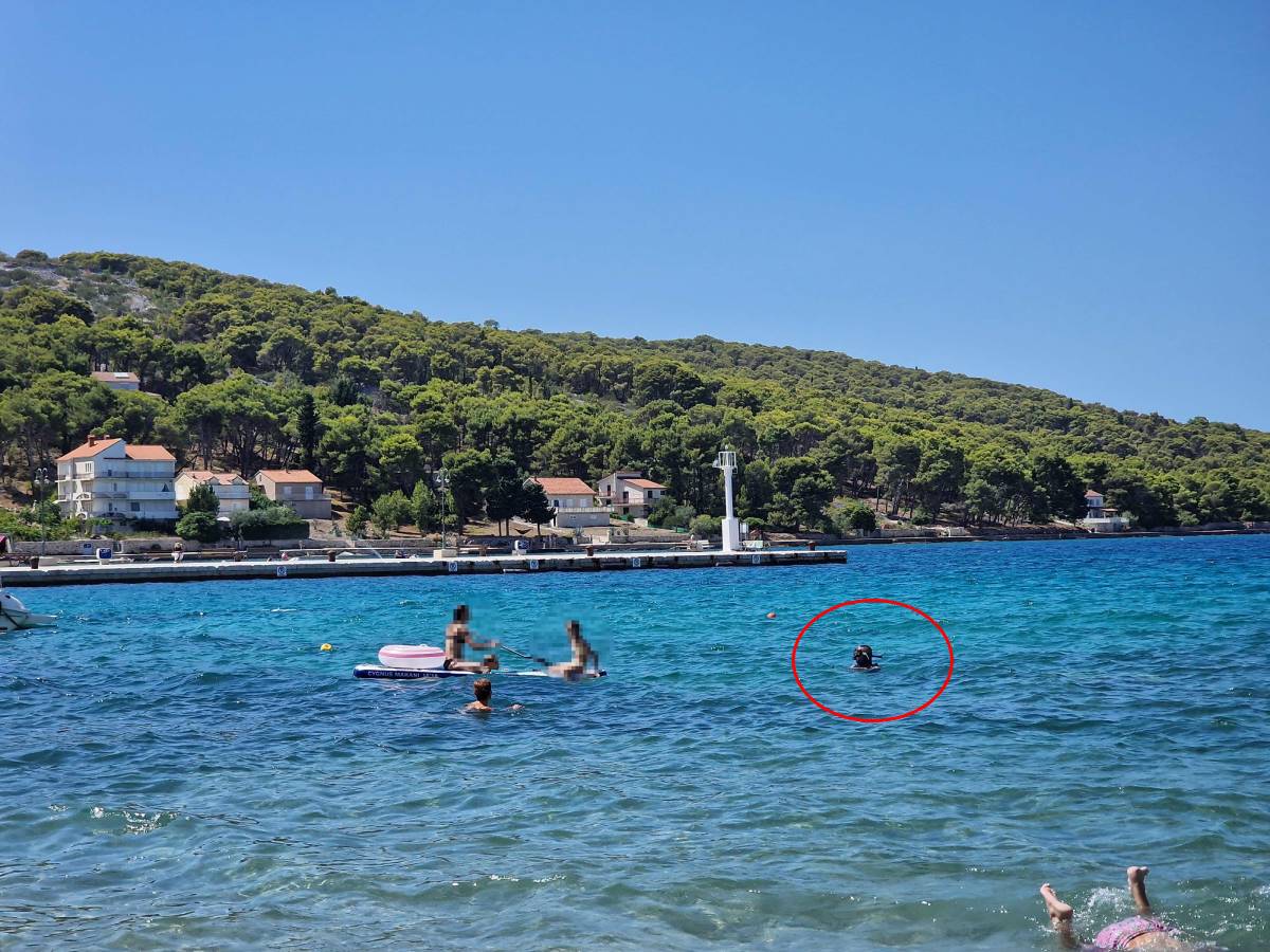 INCIDENT NA ZLARINU Podvodnom puškom lovio među kupačima i djecom: "Direktno sam ga upozorio, a on se nastavio hvaliti ulovom"
