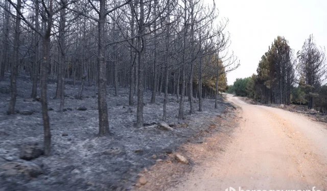 Sedam osoba identificirano zbog paljenja vatre, prijete kazne i do 10.000 KM