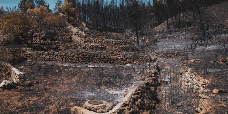 Šibensko-kninska županija šalje pomoć Omišu nakon razornog požara: “Omiš nije sam”