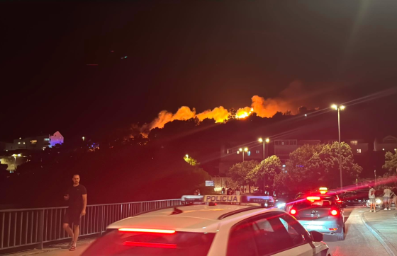 Srđevci prozvali policiju i komunalce zbog požara na Gorici: “Planirate li početi raditi svoj posao?”