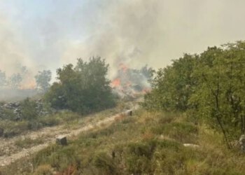 Stanje sa požarima kod Trebinja stabilno