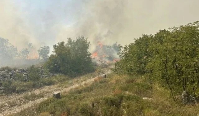 Stanje sa požarima kod Trebinja stabilno