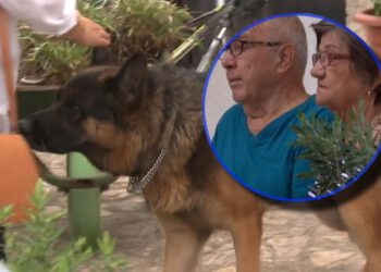 Supružnici u Zadru započeli štrajk glađu zbog susjedova psa: “Samo želimo mirno spavati”