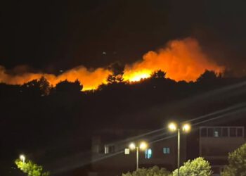 VELIKA VATRENA BUKTINJA U DALMACIJI Požar progutao 6.000 kvadrata, uzrok vjerojatno pirotehnika