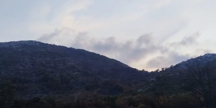 VIDEO Ponovno buknulo u Dalmaciji! Vatrogasci odmah krenuli u borbu s vatrom: Evo kakva je situacija