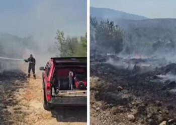 VIDEO Požar otvorenog područja u Dicmu, na terenu vatrogasci. Evo kakvo je stanje na požarištu