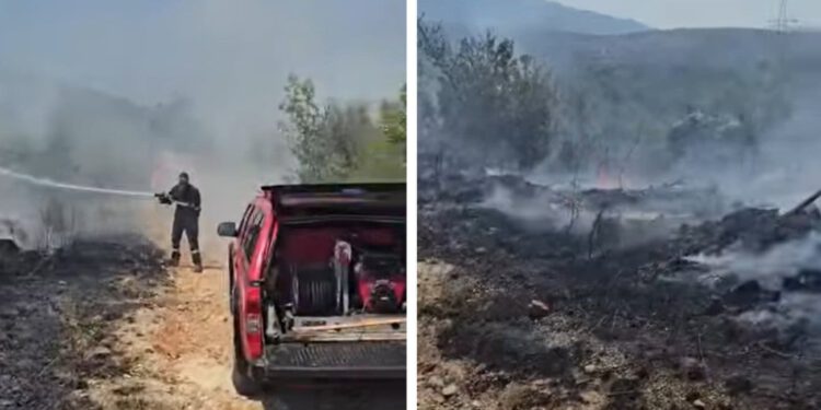 VIDEO Požar otvorenog područja u Dicmu, na terenu vatrogasci. Evo kakvo je stanje na požarištu