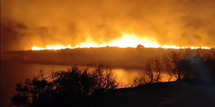 VIDEO Teška noć na Dugom otoku: Vatra prijetila kućama u uvalama, svi objekti uspješno obranjeni