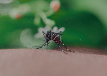 Virus Zapadnog Nila odnio pet života u zemlji iz regije, proglašena epidemija
