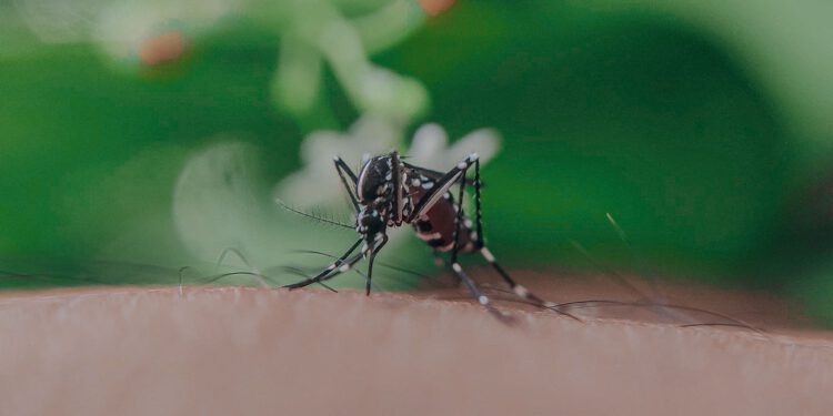 Virus Zapadnog Nila odnio pet života u zemlji iz regije, proglašena epidemija
