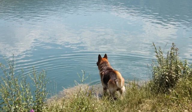 Vremenska prognoza za Mostar i Hercegovinu – 4.08.2026