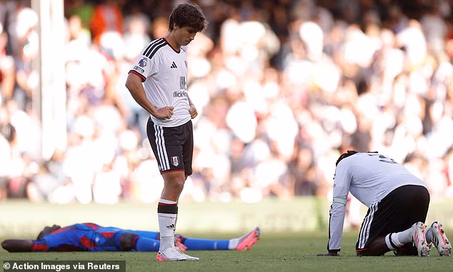After draws in their last two games Fulham will be desperate to finally pick up three points upon return from the international break