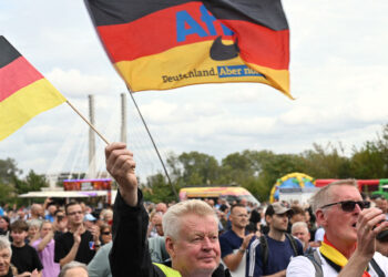 AfD is not the heroic opposition it claims to be — RT World News