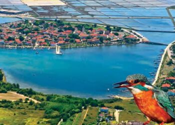 BIRDWATCHING Želite promatrati ptice u ninskoj laguni? Nema problema!