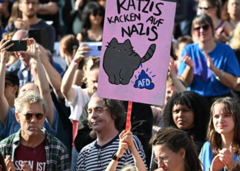 Bitni lokalni izbori u Njemačkoj; Deseci tisuća diljem Njemačke prosvjedovalo protiv AfD-a