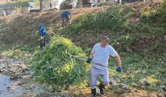 FOTO Očišćeno korito rijeke Radobolje u Mostaru