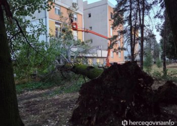 FOTO/VIDEO Nevrijeme u Mostaru: Iz korijena iščupan jablan koji je desetljećima krasio dvorište