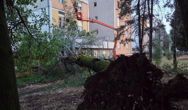 FOTO/VIDEO Nevrijeme u Mostaru: Iz korijena iščupan jablan koji je desetljećima krasio dvorište