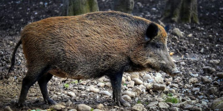 Lovne aktivnosti od 7. do 15. rujna