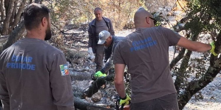 NAKON POŽARA Raskrčena staza prema Pustinji Blaca, Muzej ponovno otvoren!